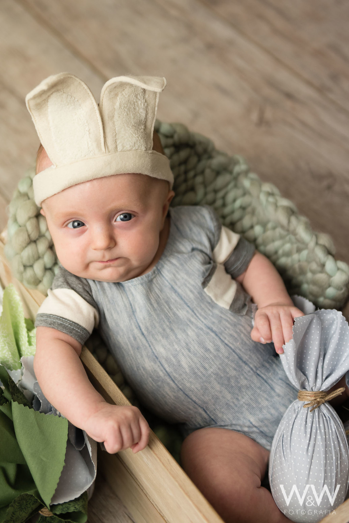ensaio tem&aacute;tico p&aacute;scoa est&uacute;dio wew fotografia coelhos