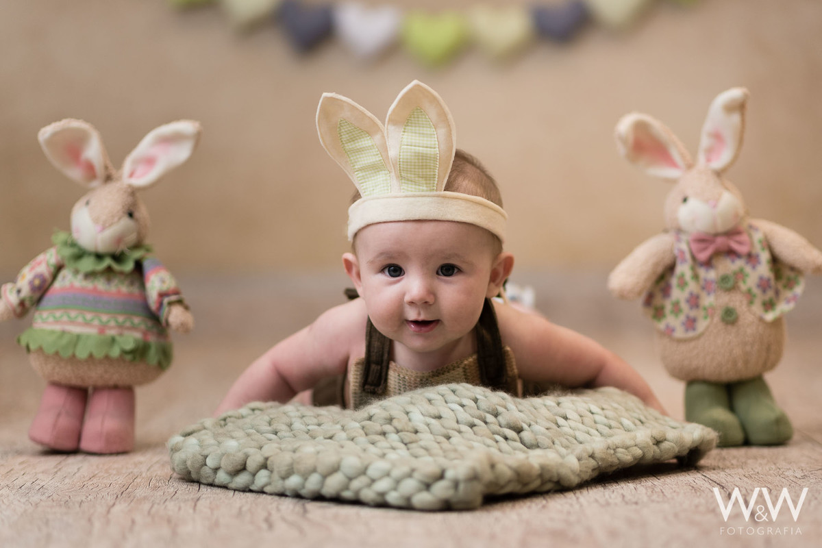 ensaio tem&aacute;tico p&aacute;scoa est&uacute;dio wew fotografia coelhos