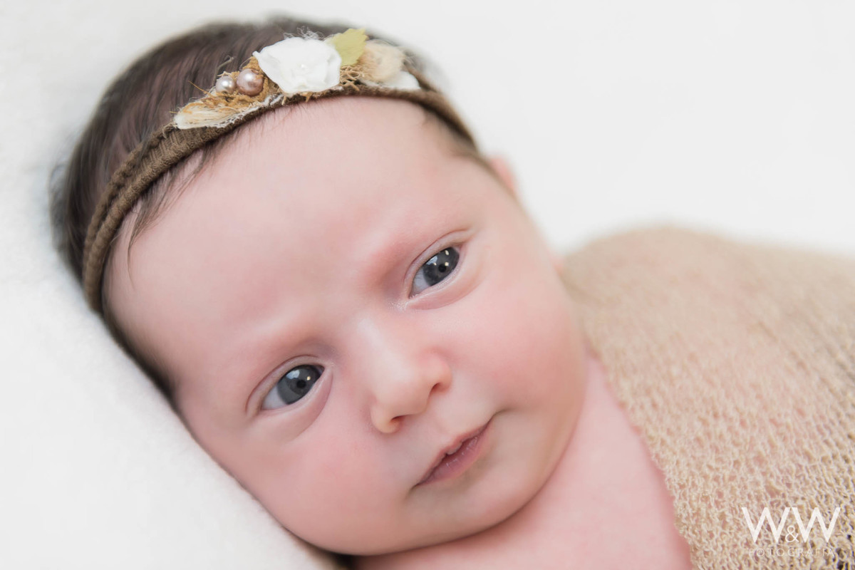 ensaio newborn catarina 15 dias s&atilde;o paulo menina est&uacute;dio wewfoto