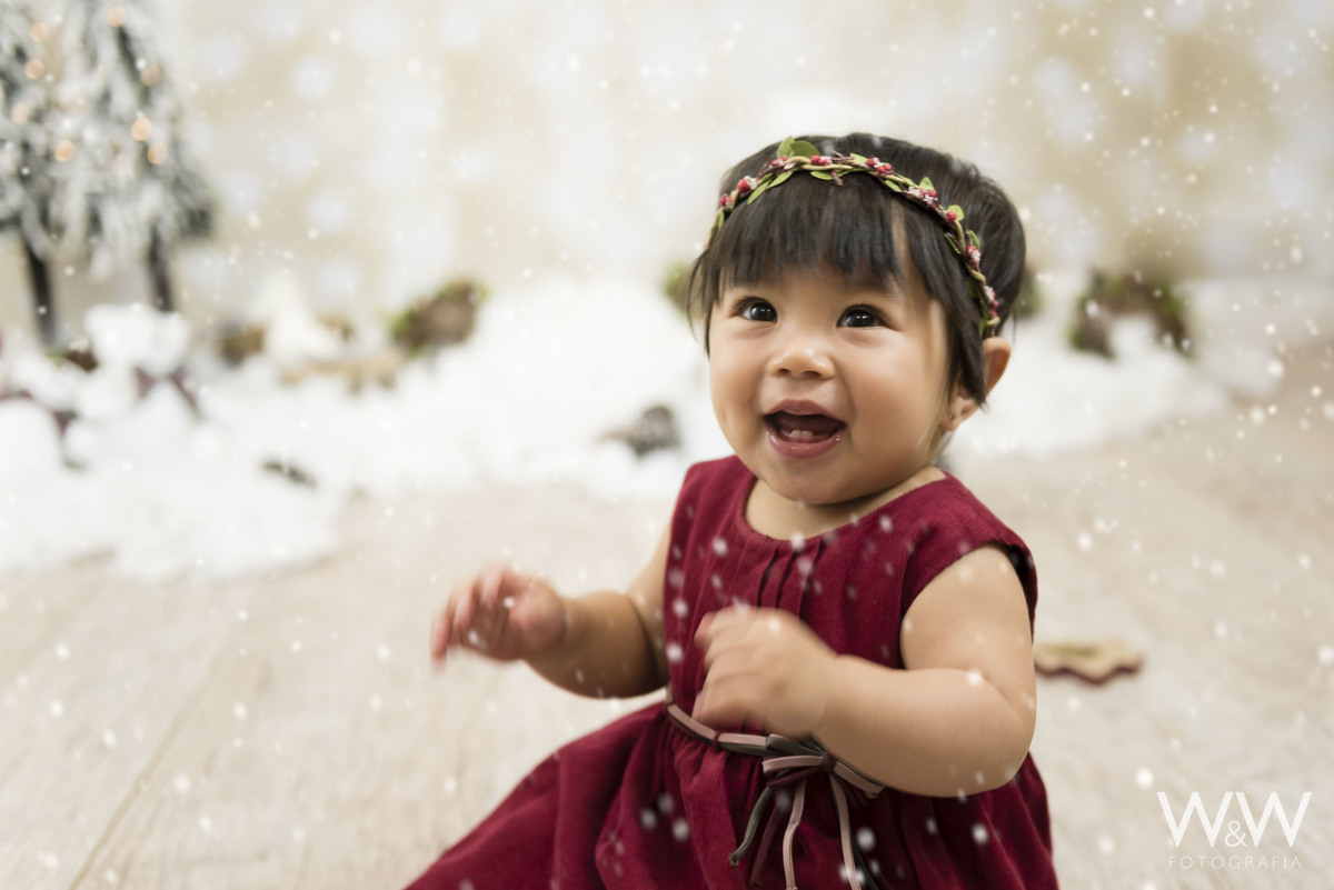 ensaio natal 2018 wewfotografia s&atilde;o paulo ensaio natalino
