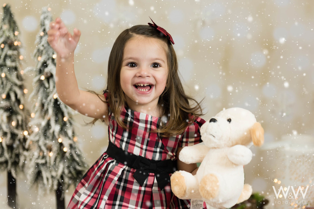ensaio natal 2018 wewfotografia s&atilde;o paulo ensaio natalino