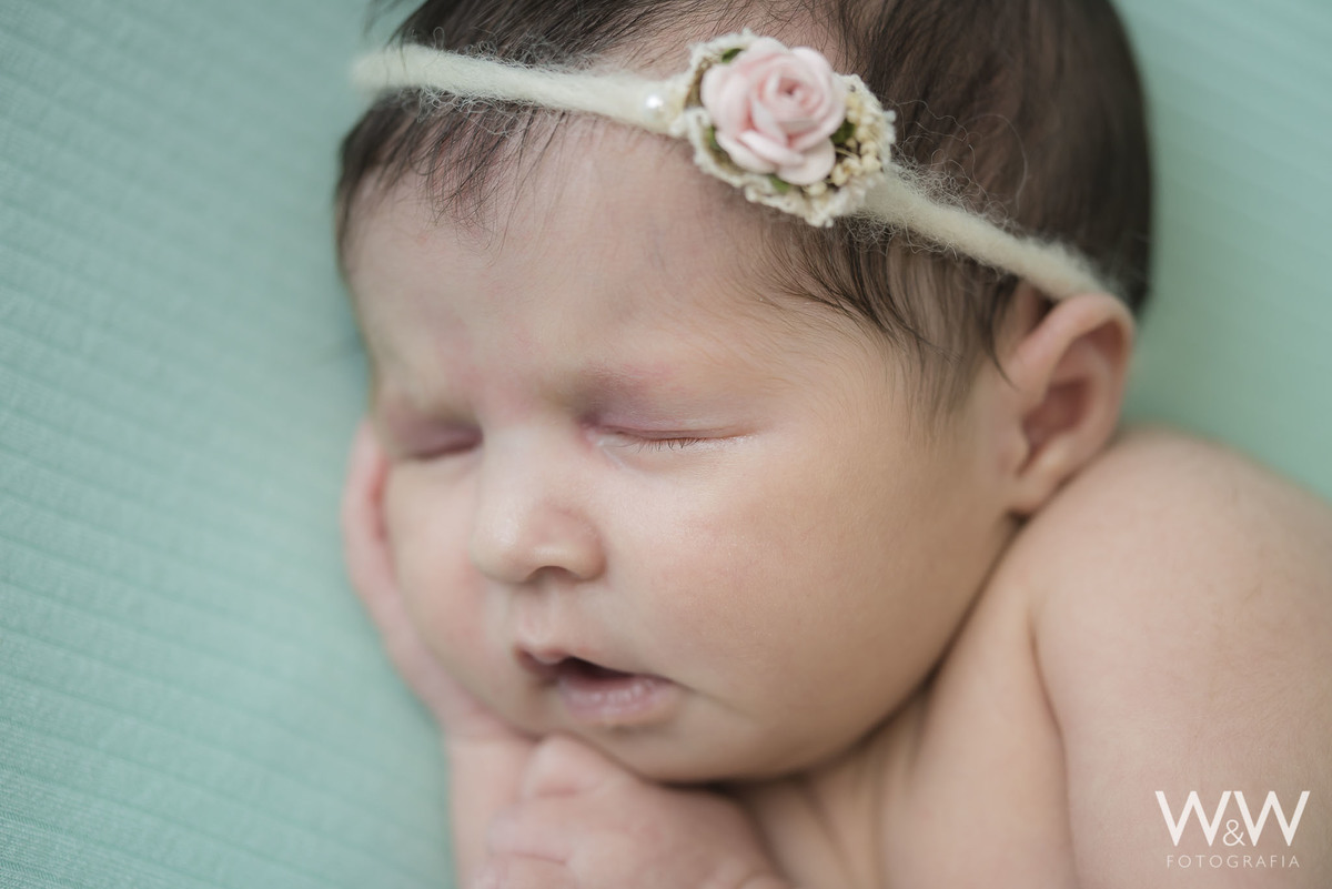ensaio newborn menina são paulo estúdio wewfotografia wewfoto