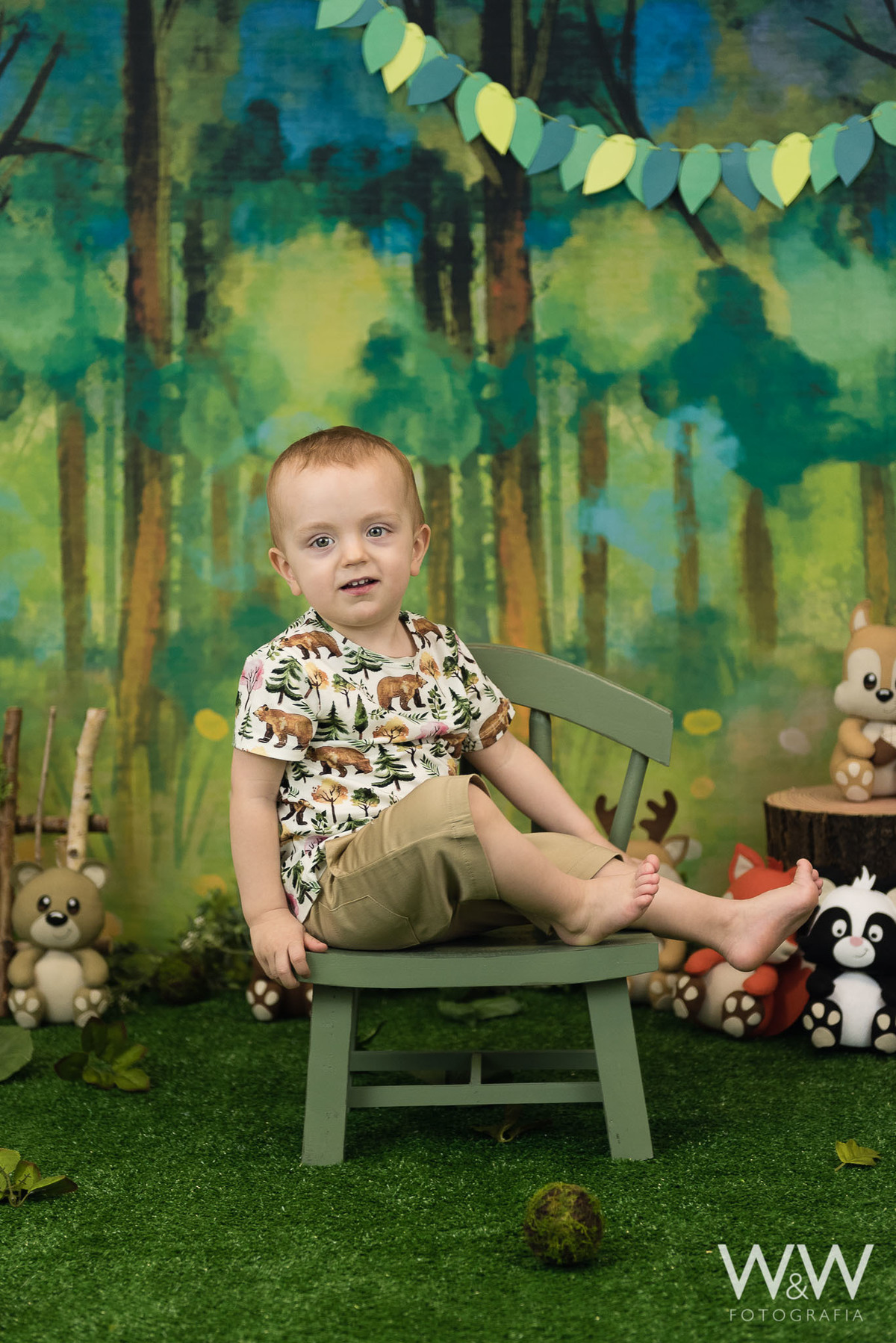 ensaio temático floresta bichinhos animais bosque estúdio 