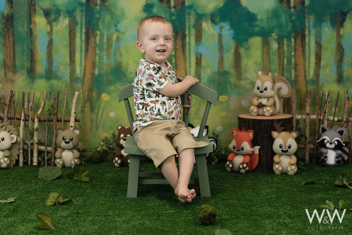 ensaio temático floresta bichinhos animais bosque estúdio 