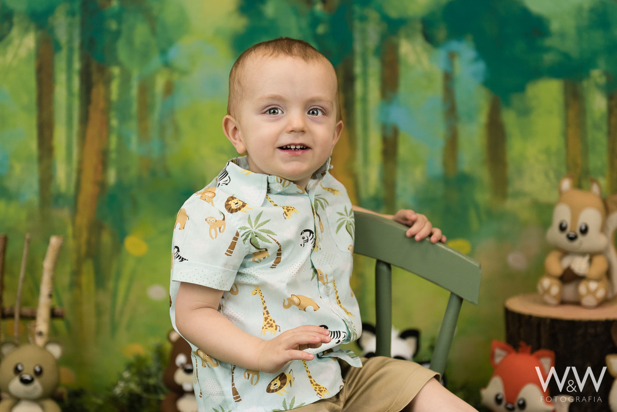 ensaio temático floresta bichinhos animais bosque estúdio 