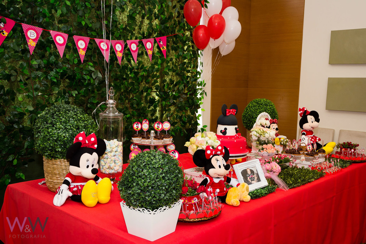 aniversario infantil crianca sao paulo sp menina