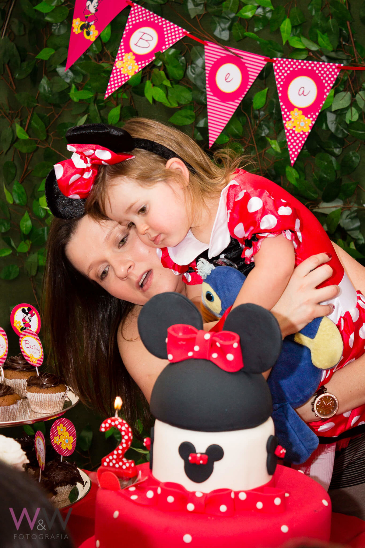 aniversario infantil crianca sao paulo sp menina