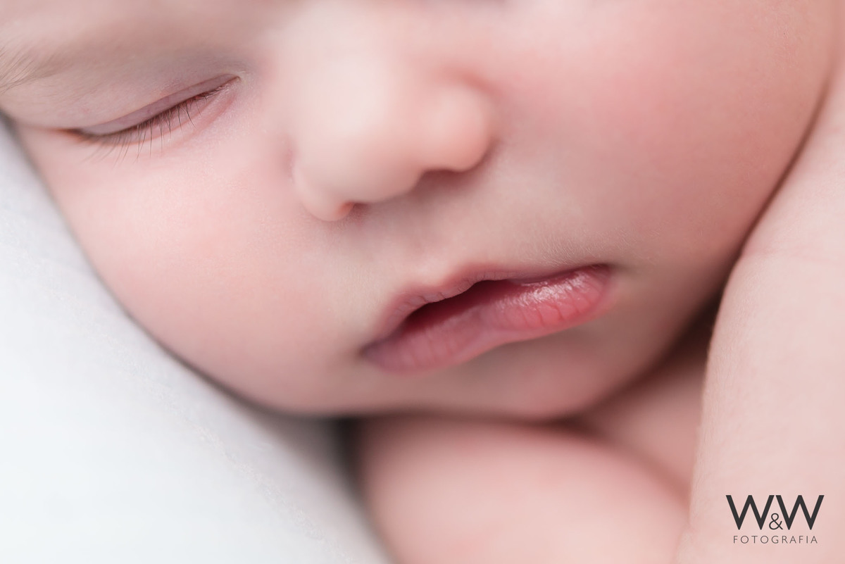 ensaio newborn menino samuel estúdio wewfotografia wewfoto campo belo zona sul são paulo