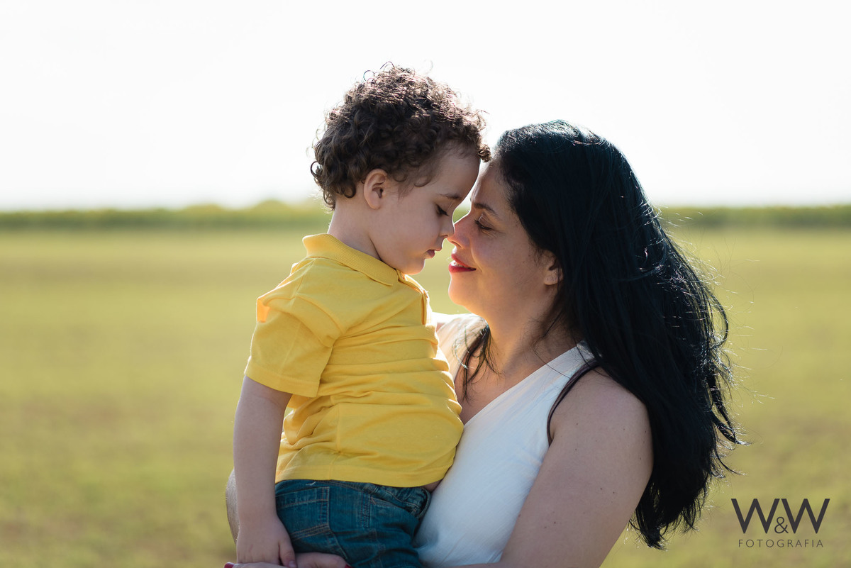 ensaio família em holambra girassois plantação de girassol wewfoto wewfotografia flores