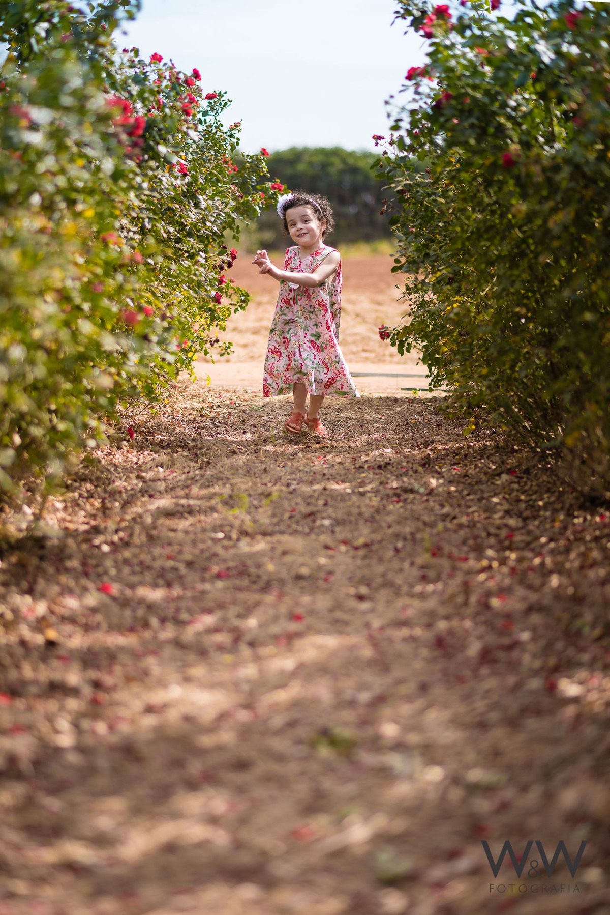 ensaio família em holambra plantação de flores wewfoto wewfotografia