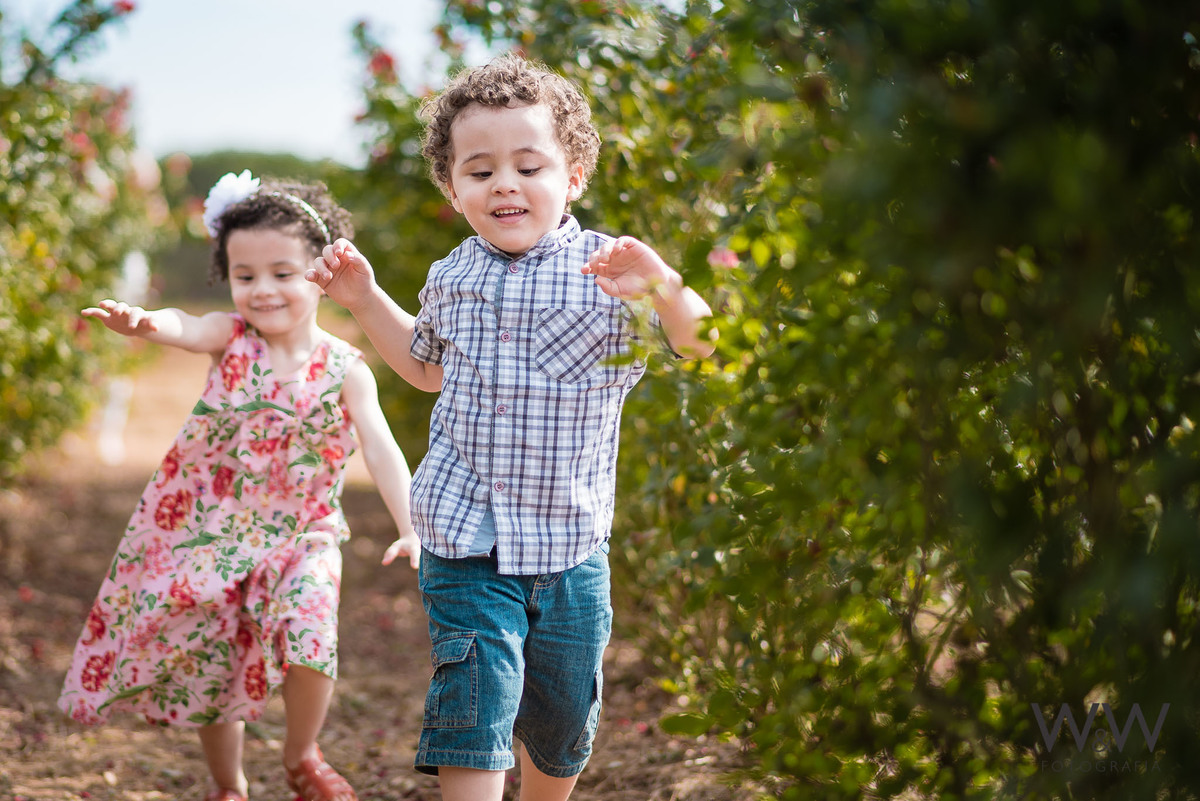 ensaio família em holambra plantação de flores wewfoto wewfotografia