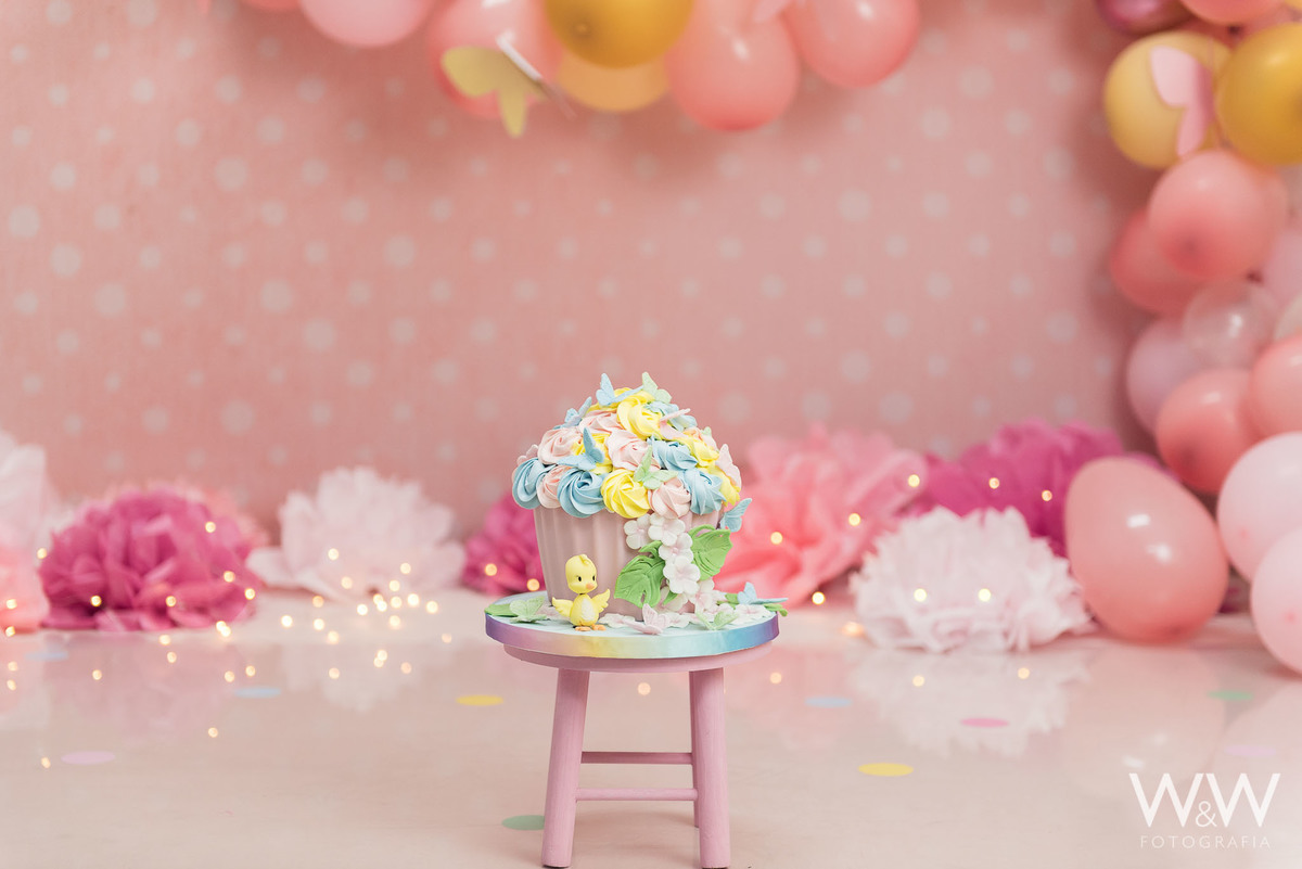  ensaio smash the cake são paulo sp chácara santo antonio estúdio wew fotografia rosa borboletas