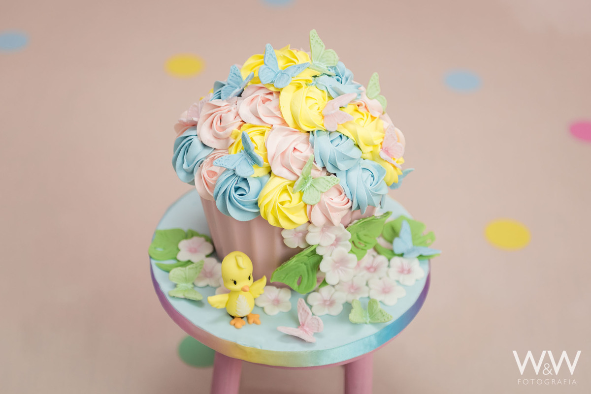 bolo maecomprabolo ensaio smash the cake são paulo sp chácara santo antonio estúdio wew fotografia