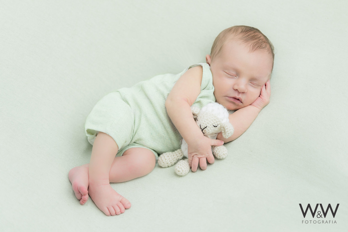 ensaio newborn menino em estúdio são paulo zona sul wewfotografia