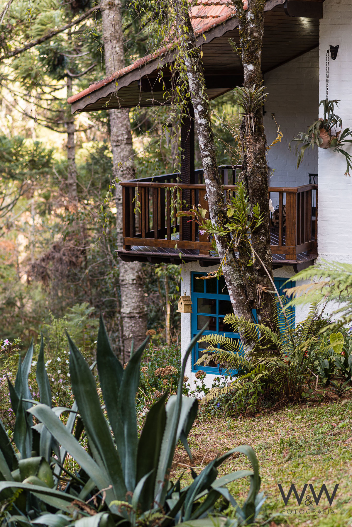 ensaio gestante monte verde clean pousada provence cottage wewfotografia