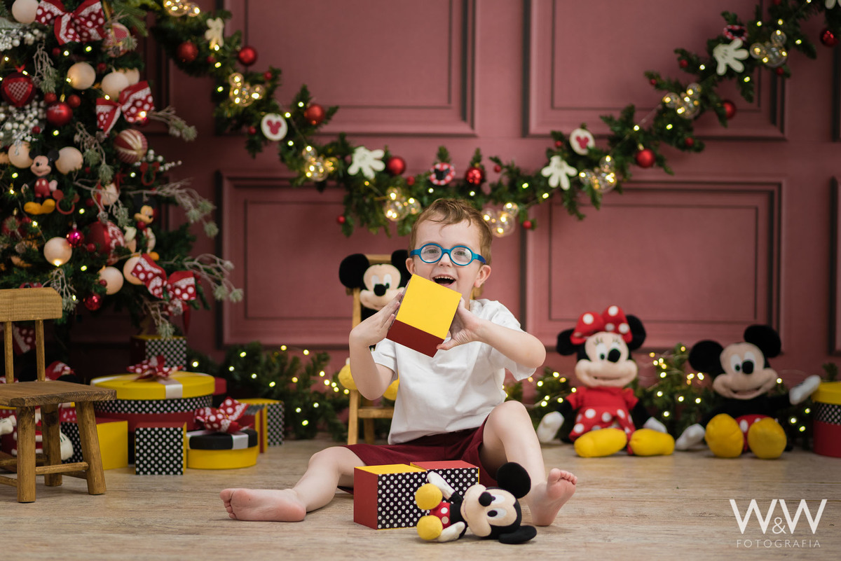 ensaio natal 2021 estúdio wew fotografia c hácara santo antonio são paulo mickey