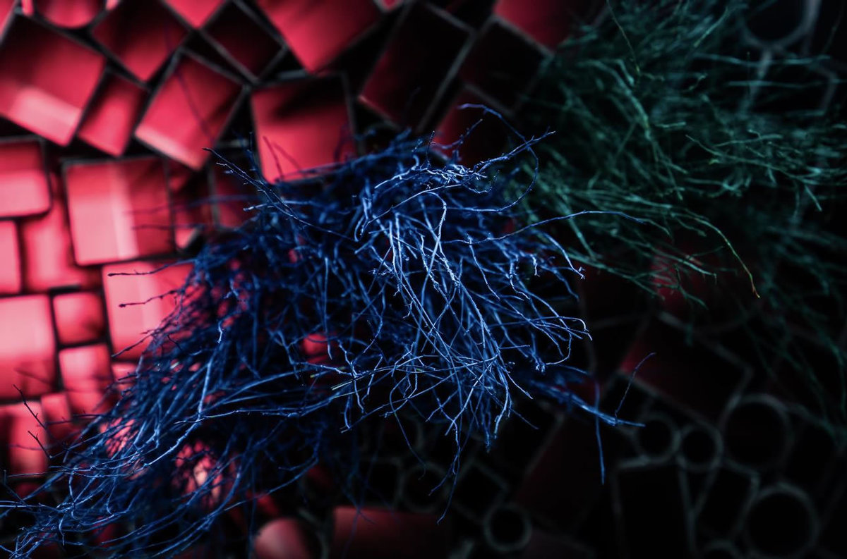  RZ-03 , 2023
 Impressão em MDF naval
 100 X 150 CM / 60 X 90 CM
