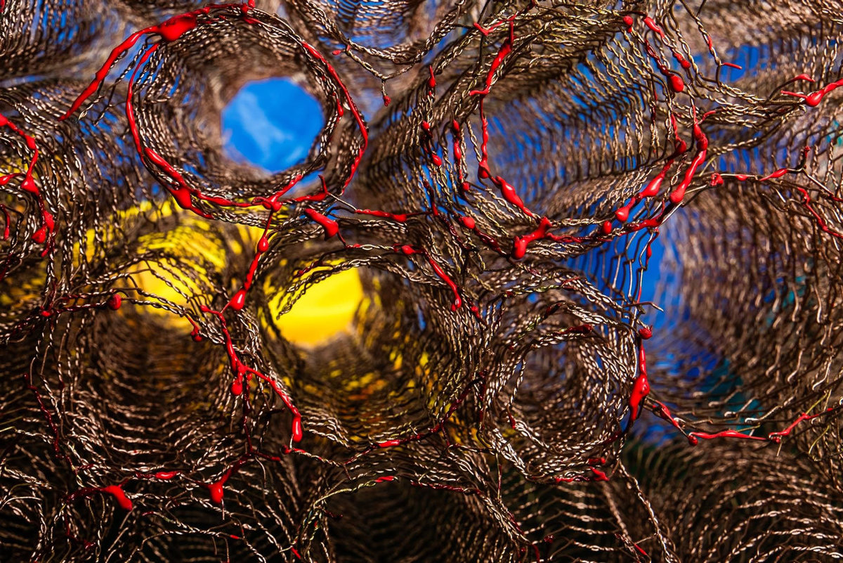  ARARA AZUL-DE-LEAR 2, 2025
 Impressão em papel algodão
 Rag Photographique 310g
 e impressão em Gaz sobreposto
 150 X 100 CM / 110 X 70 CM