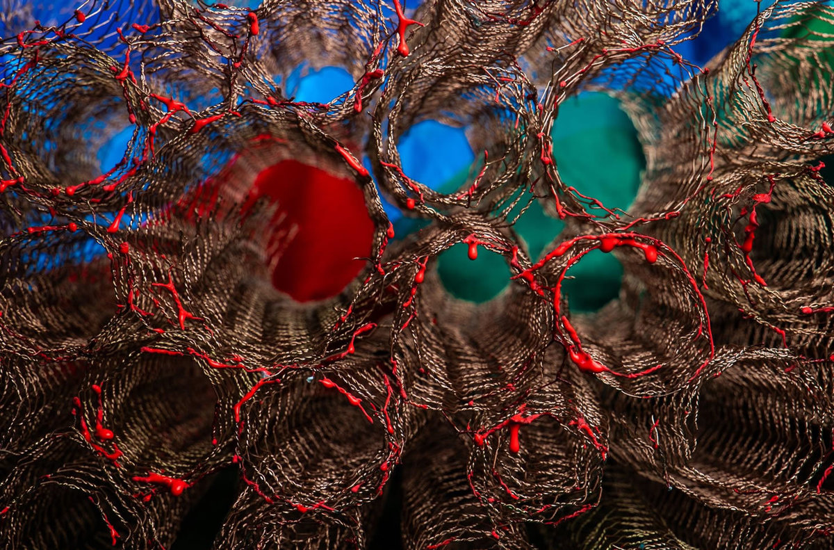  ARARA VERMELHA 2, 2025
 Impressão em papel algodão
 Rag Photographique 310g
 e impressão em Gaz sobreposto
 150 X 100 CM / 110 X 70 CM