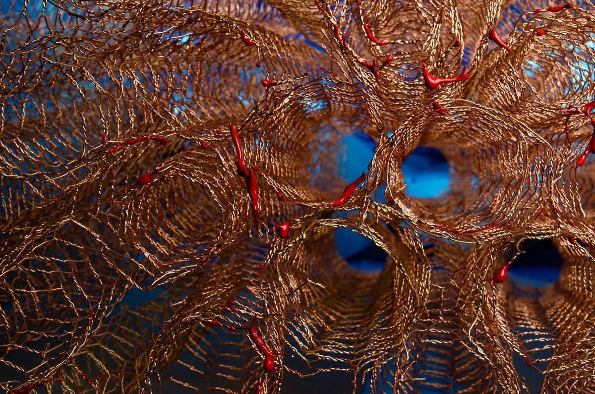  ARARINHA AZUL 1, 2025
 Impressão em papel algodão
 Rag Photographique 310g
 e impressão em Gaz sobreposto
 150 X 100 CM / 110 X 70 CM