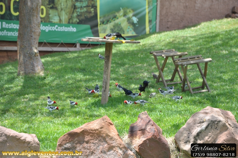 Parque Ecológico Castanho