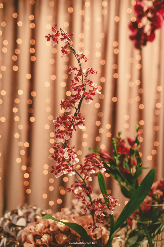 fotografia de casamento sorocaba daniele e evandro avaré alex oliveira cyndi omoto melhor fotógrafo de sp são paulo itu valinhos cerimonial angela fernandes flores