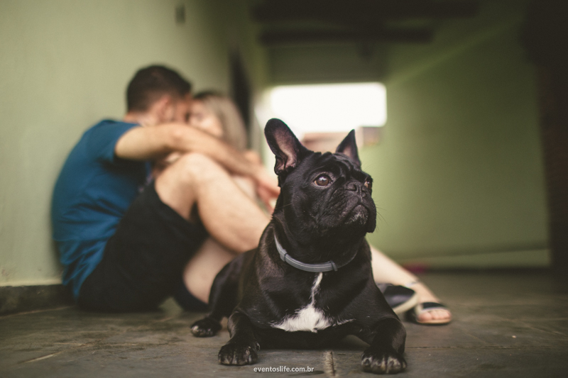 sessão fotográfica renan e desirée valinhos pet life fotografia de casamento sorocaba alex oliveira cyndi omoto melhor fotógrafo de sp campinas pug ensaio fotografico