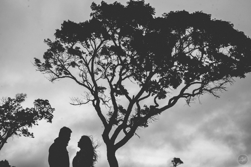 Sessão fotográfica, pré-wedding, fotos de casal, namorados, noivos, natureza, frio, life fotografia, fotografia criativa, ensaio Suzana e David, Capela da Penha, Votorantim, árvore, silhueta