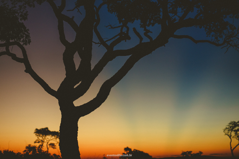 ensaio fotografrico, sessao de fotos, ensaio casal, natureza, montanha, frio, noivos, namorados, fiance, bride and groom, priscila e lucas, life fotografia, criativa, espontanea, arvore solitaria