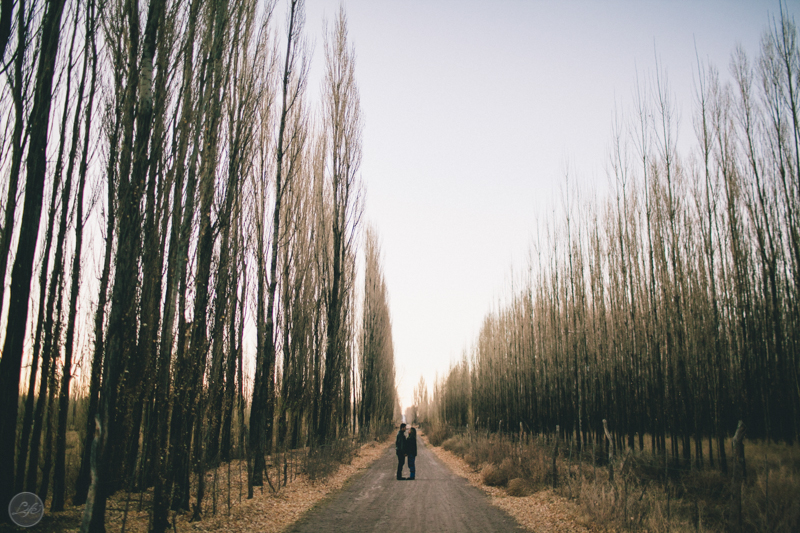 Mendoza Argentina Vini e Bete Life Fotografia Destination Photographer Fotografia espontânea ensaio casal caminho estrada arvores natureza