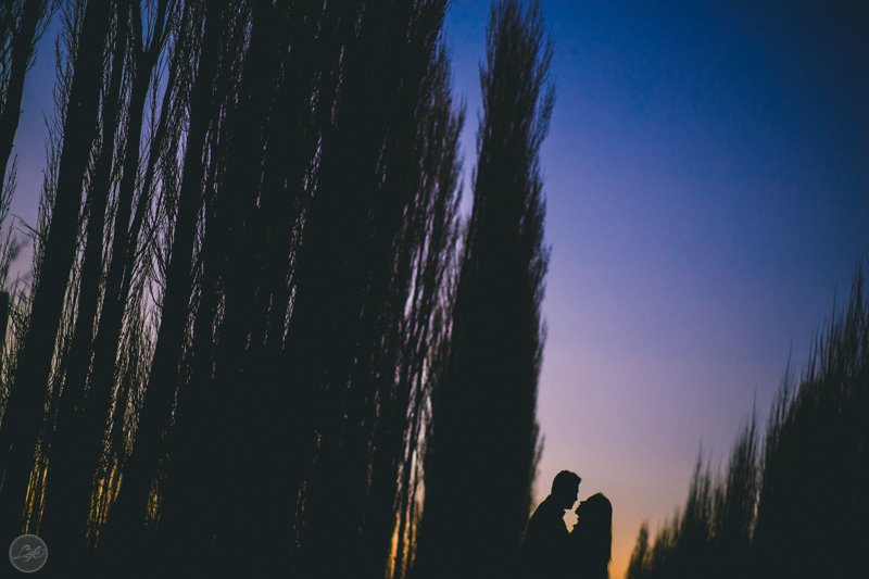 Mendoza Argentina Vini e Bete Life Fotografia Destination Photographer Fotografia espontânea ensaio casal silhueta arvores