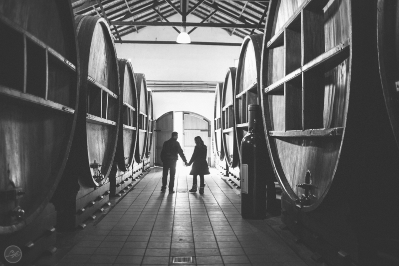 Mendoza Argentina Vini e Bete Life Fotografia Destination Photographer Fotografia espontânea ensaio casal maos dadas vinicola