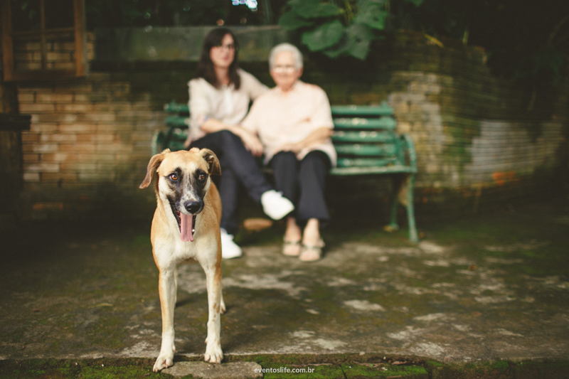 Life Fotografia Camila e Guiomar Apiário Morada do Sol Ensaio Neta e Avó Sessão de Fotos Fotografia espontânea criativa cachorro