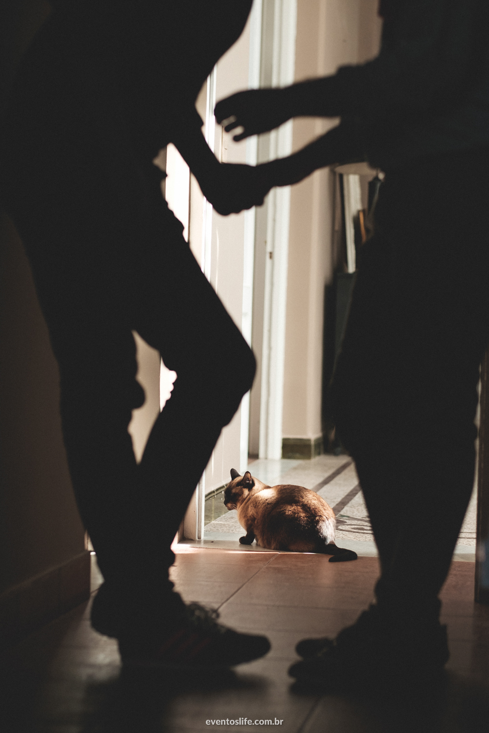 Ensaio Life Fotografia Destination Photographers Montevideo Uruguay Sessao Footgrafica Fotografia espontanea criativa gatinha silhueta