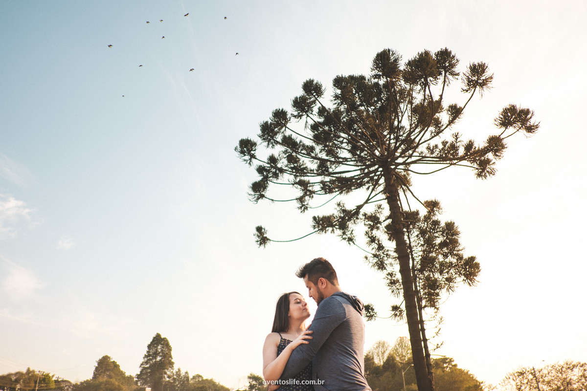 Ensaio casal, Ensaio de dia, Life Fotografia, Cyndi Omoto, Alex Oliveira, Pre casamento, Pré-Wedding, sessão de fotos, Fotografia espontânea, natureza, árvore, ar livre