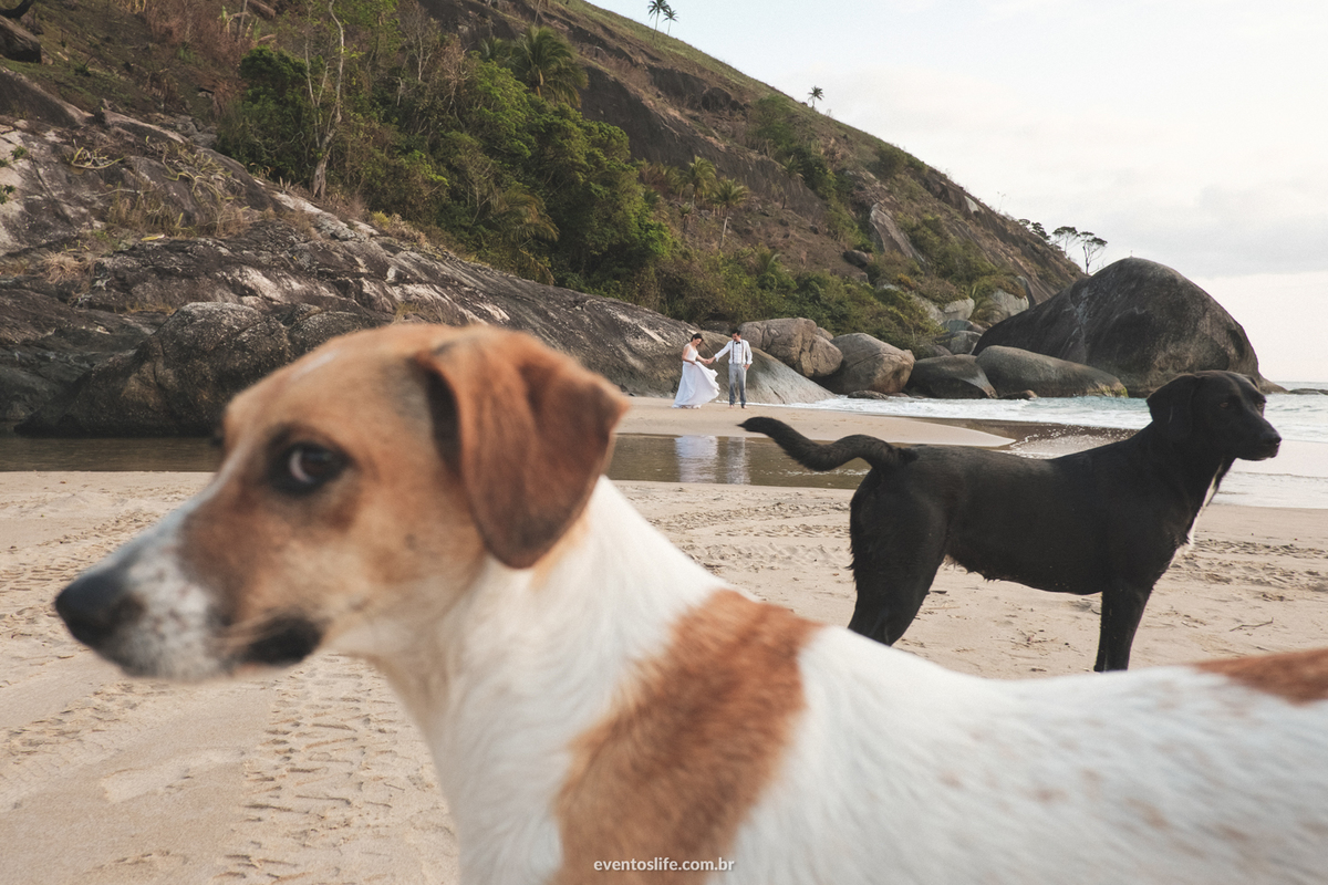 ensaio fotográfico na praia paradisíaca Ilha Bela Bonete São Paulo Brasil Trash The Dress Noivos Life Fotografia de Casamento Sorocaba Noivas 2018 Destination Photographers Beach Lua de Mel Honey Moon Cachorros engraçados com noivos