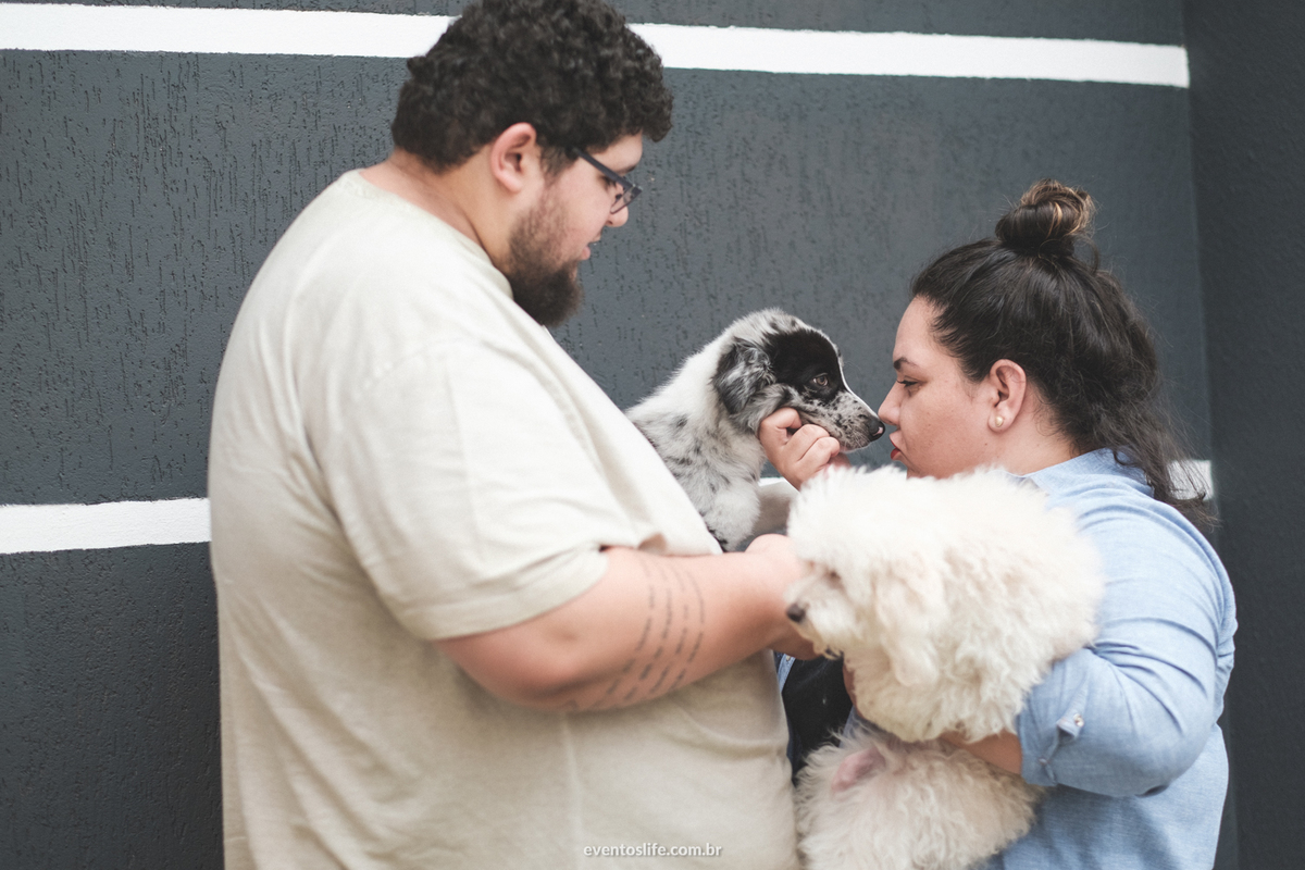 Ensaio família, Life Fotografia, Criativa, Diferente, Cyndi Omoto, Alex Oliveira, Fotografia de Casamento Sorocaba, Dogs, Doglovers, Cachorros, ensaio fotográfico, fotos com cahorro, poodle, border collie, luz natural, casados, vida a dois, amor