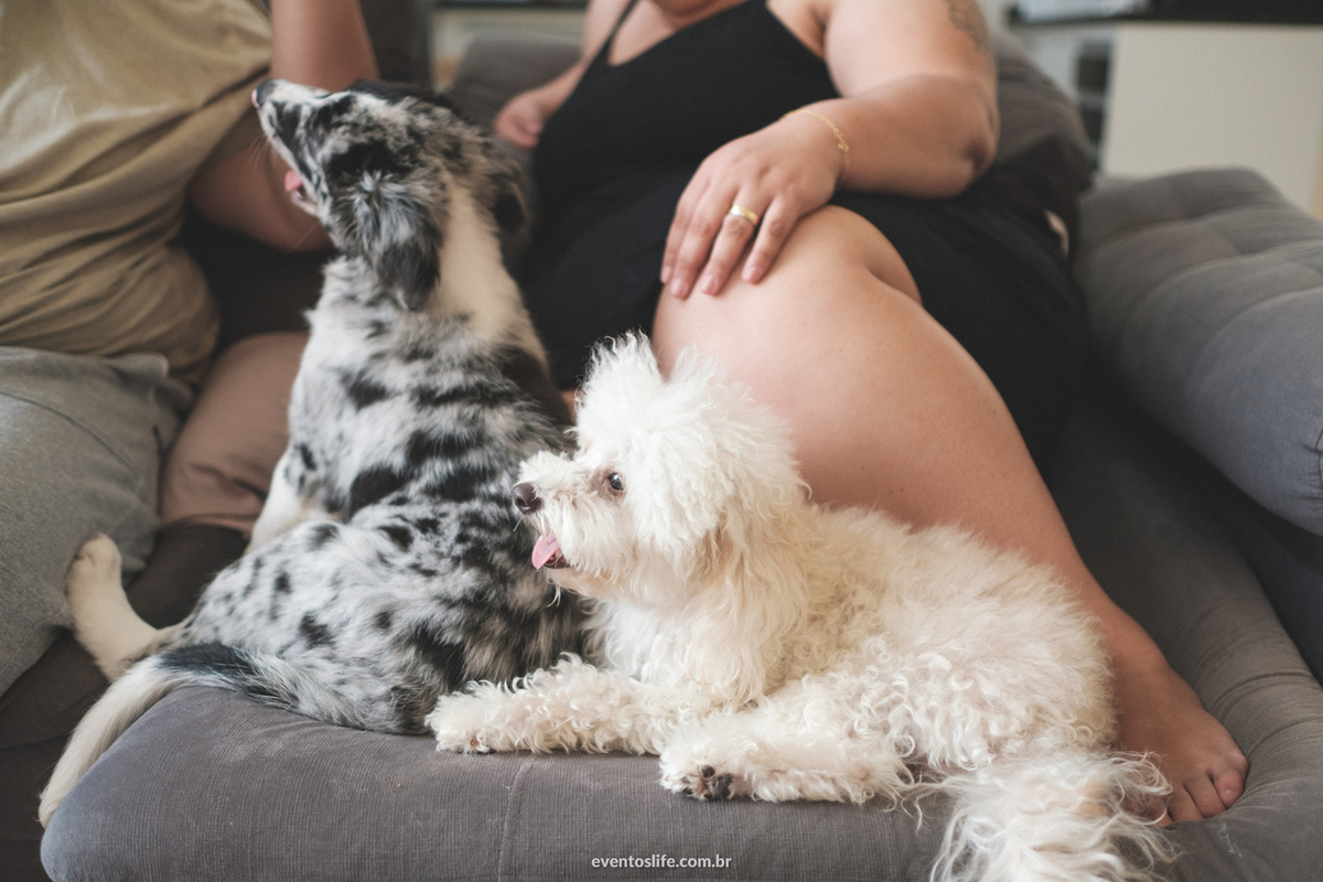 Ensaio família, Life Fotografia, Criativa, Diferente, Cyndi Omoto, Alex Oliveira, Fotografia de Casamento Sorocaba, Dogs, Doglovers, Cachorros, ensaio fotográfico, fotos com cahorro, poodle, border collie, luz natural, casados, vida a dois, amor