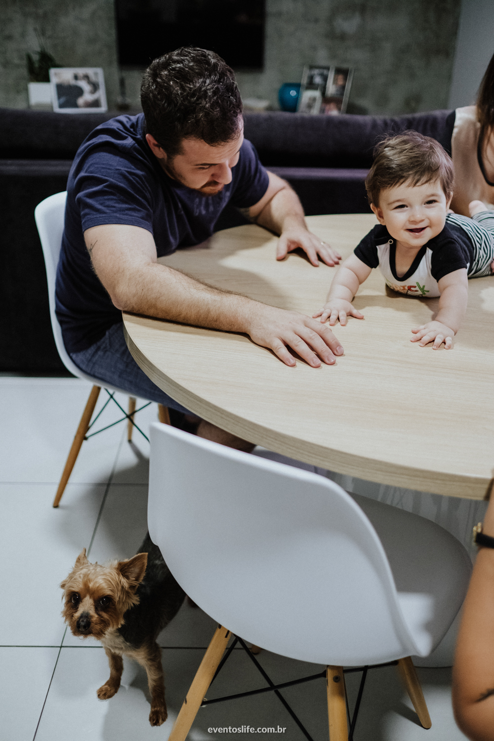 Ensaio família, sessão de fotos, fotografia espontânea, Life Fotografia Sorocaba, São Paulo, Interior, family, acompanhamento do bebê, crescimento do bebê, fotos de bebê, primeiro ano de vida, dinossauros, documental, cães, dog, cachorro pequeno