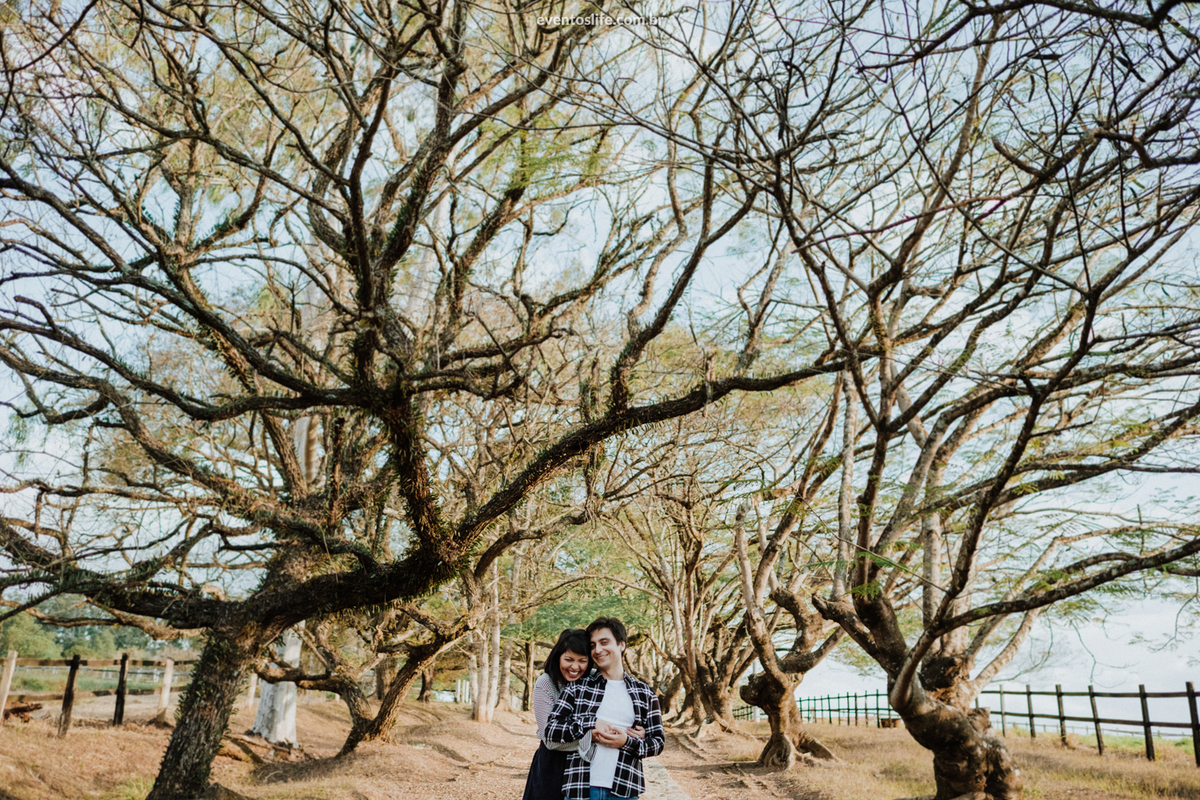 Life Fotografia, Ensaio Pré Casamento, Pré Wedding, Sessão Fotográfica, Geovana e William, Ensaio ao ar livre, Ensaio na natureza, Fotografia espontânea, Fotografia diferente, Caminho de árvores, Ensaio no inverno, Fotos diferentes, Árvores, Natureza