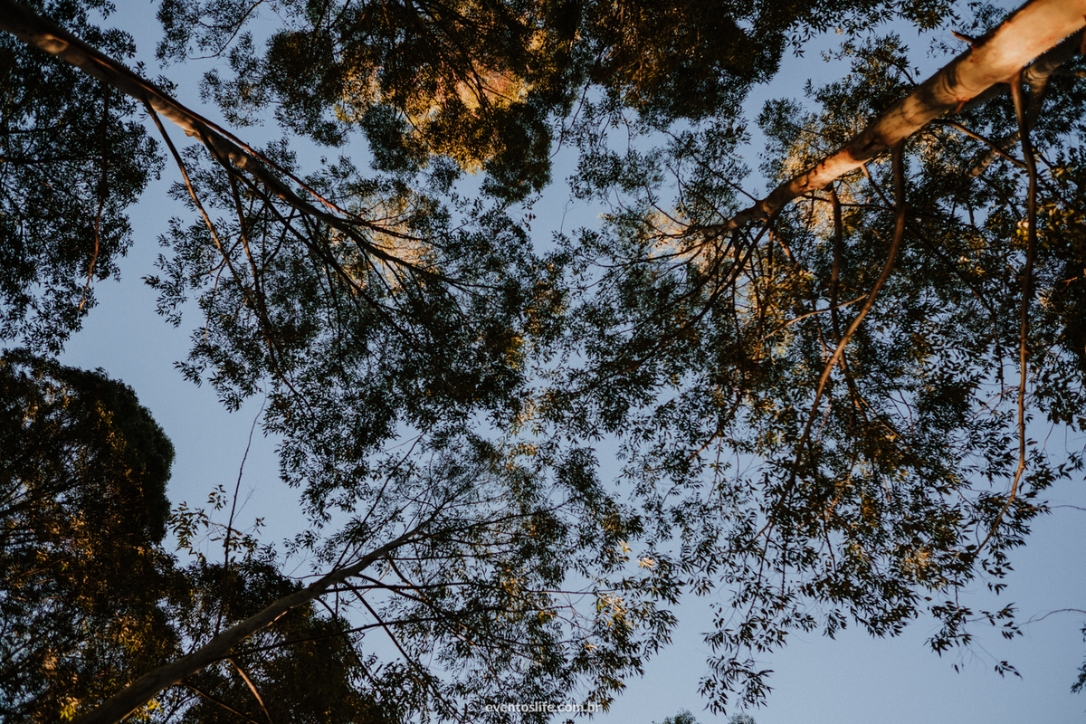 Life Fotografia, Ensaio Fotográfico de casal, Sorocaba, São Paulo, E-session, Pré-casamento, sessão de fotos, fotografia criativa, diferente, espontâneo, noivos, casal, amor, casamento, urbano, campo, cyndi omoto, alex oliveira, jéssica e danilo, música