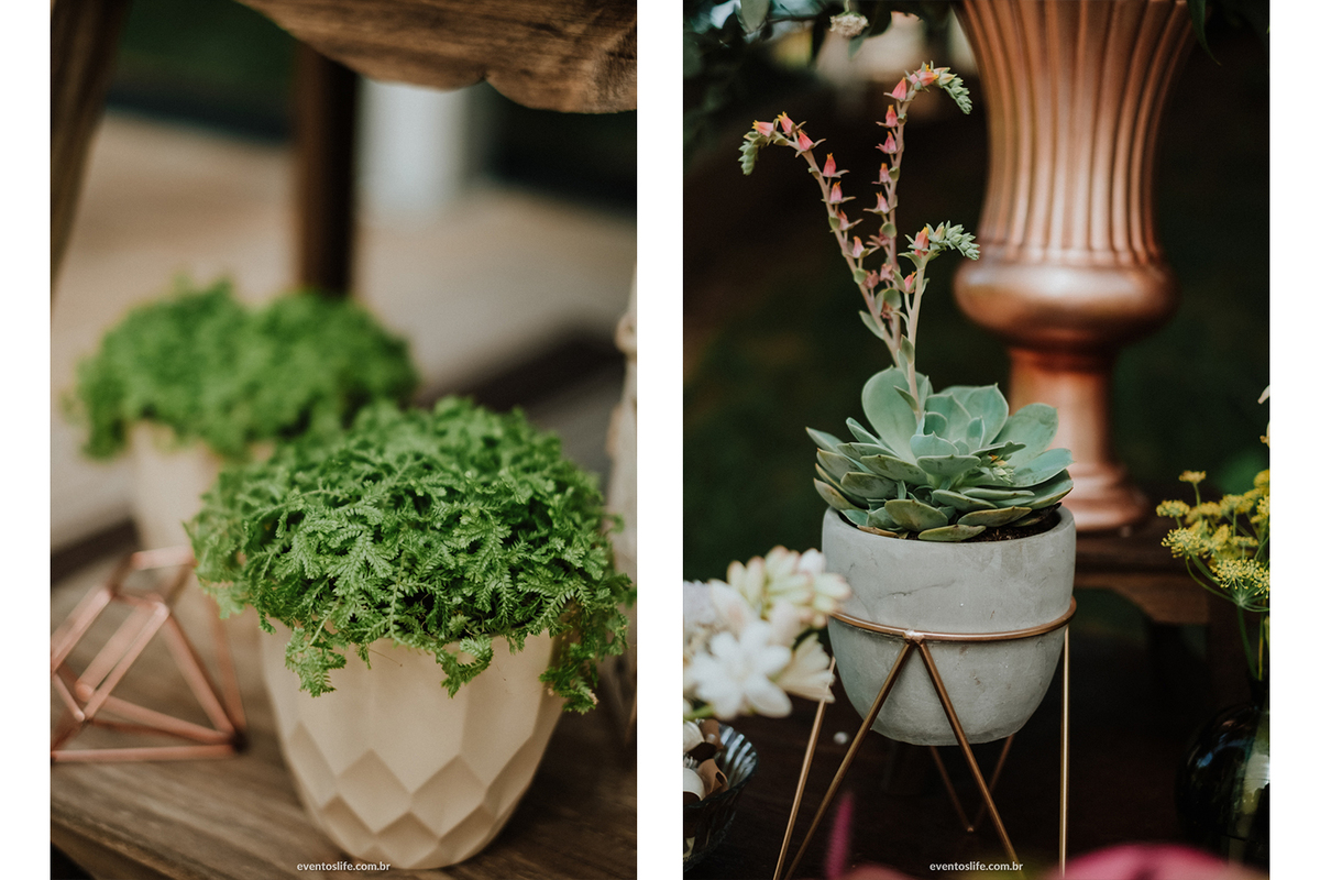 Life Fotografia, Fotografia de Casamento Sorocaba, Figueira Velha, Corrente dos Sonhos, Quintal Flores, Leila Savioli, Eloisa Buffet, Camila e Eduardo, Decoração moderna, Vasos de plantas Suculentas, Casamento de Dia, Mini Wedding, Mini Casamento, Trend