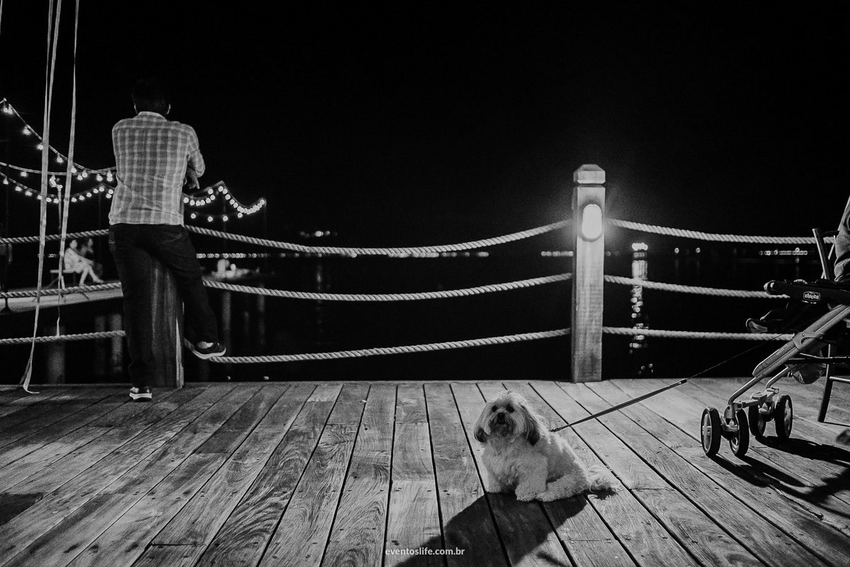 Life Fotografia, Fotografia de Casamento Sorocaba, Ilhabela, Fotos de Casamento, Fotos diferentes, Mini Wedding, São Paulo, Itu, Pier 151, Casamento na praia, Litoral, Mar, O dia mais bonito, Barbara e Renan, BR, Dog, Pet, Cachorro, PB, Conceitual, Amor