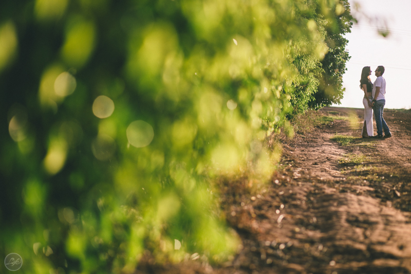 ensaio fotográfico espontâneo em Holambra, casal, noivos, natureza, São Paulo, destination photographers, destination wedding
