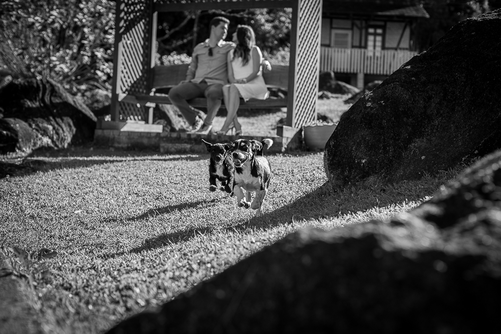 pré-wedding-pomerode