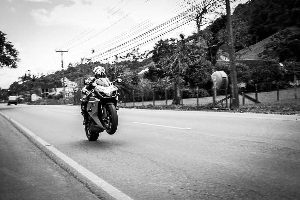 thiago-scherer-ensaio-fotografico