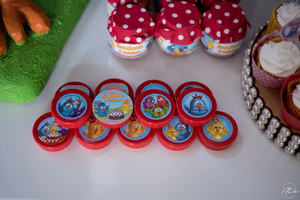 aniversario-infantil-realizado-em-guaratingueta-sp-pela-fotografa-marcela-nunes