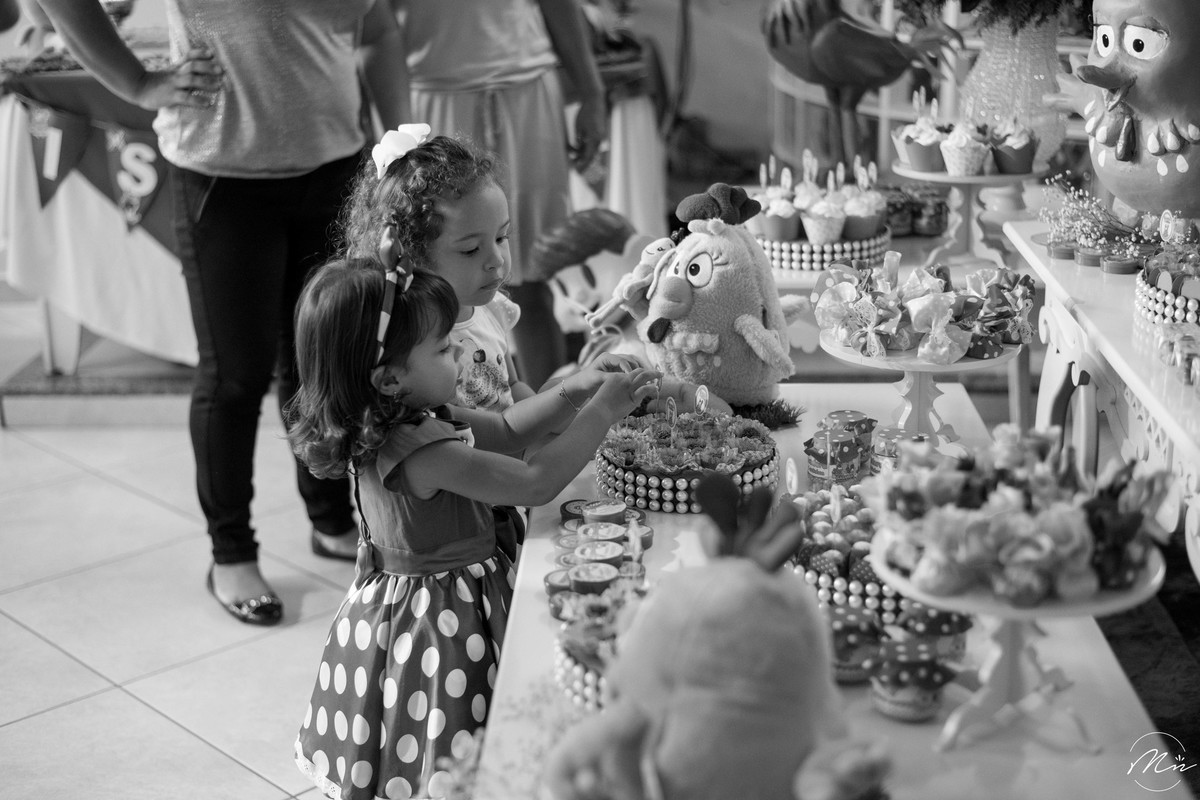 aniversario-infantil-realizado-em-guaratingueta-sp-pela-fotografa-marcela-nunes