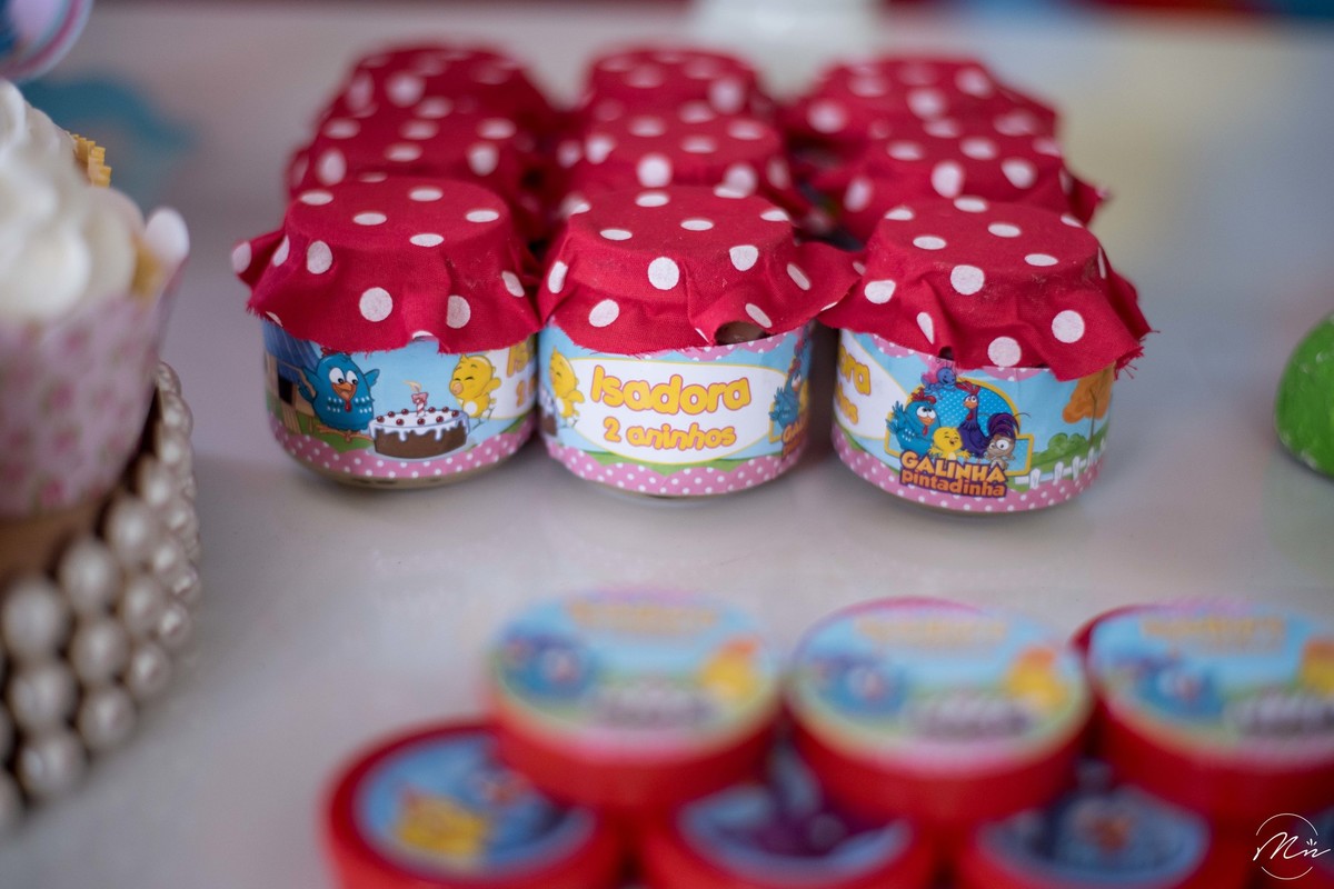 aniversario-infantil-realizado-em-guaratingueta-sp-pela-fotografa-marcela-nunes