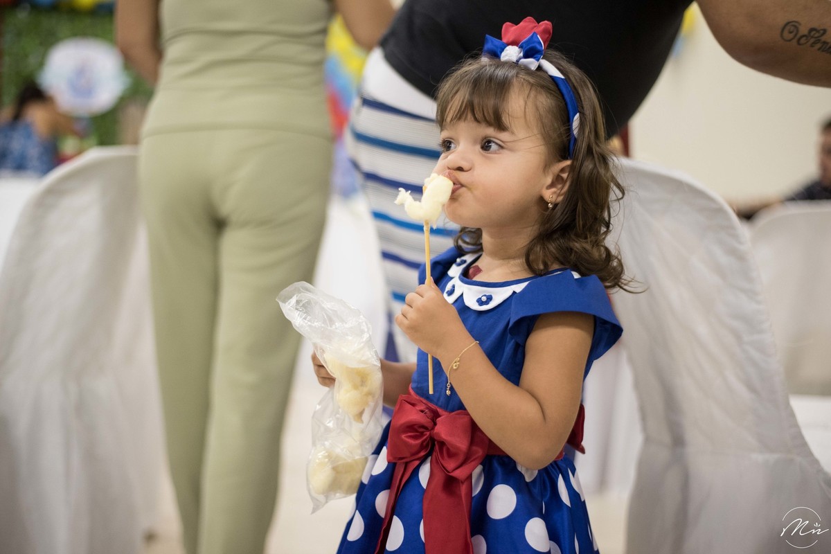aniversario-infantil-realizado-em-guaratingueta-sp-pela-fotografa-marcela-nunes
